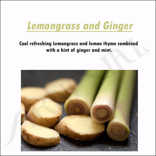 Fragrance OIL DIFFUSER for CAR & SMALL SPACES - 10 ml / 0.3 fl oz | Closet, Linen Cupboard, Toilet, Home AIR FRESHENER