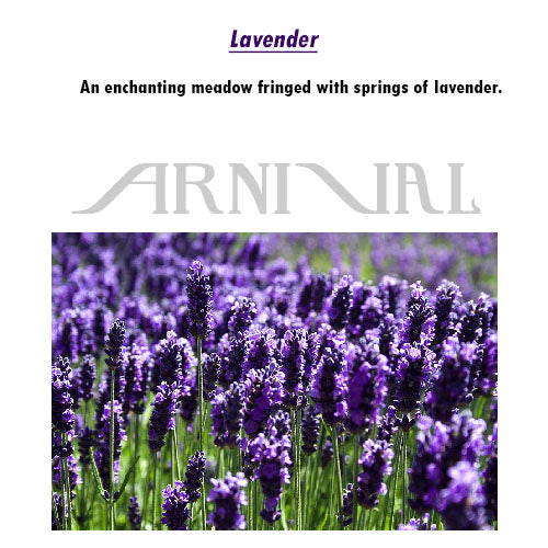 Fragrance OIL DIFFUSER for CAR & SMALL SPACES - 10 ml / 0.3 fl oz | Home, Cupboard, Linen, Toilet, Closet AIR FRESHENER
