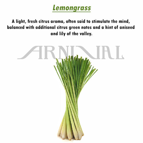 Fragrance OIL DIFFUSER for CAR & SMALL SPACES - 10 ml / 0.3 fl oz | Home, Cupboard, Linen, Toilet, Closet AIR FRESHENER