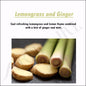 Fragrance OIL DIFFUSER for CAR & SMALL SPACES - 10 ml / 0.3 fl oz | Home, Cupboard, Linen, Toilet, Closet AIR FRESHENER